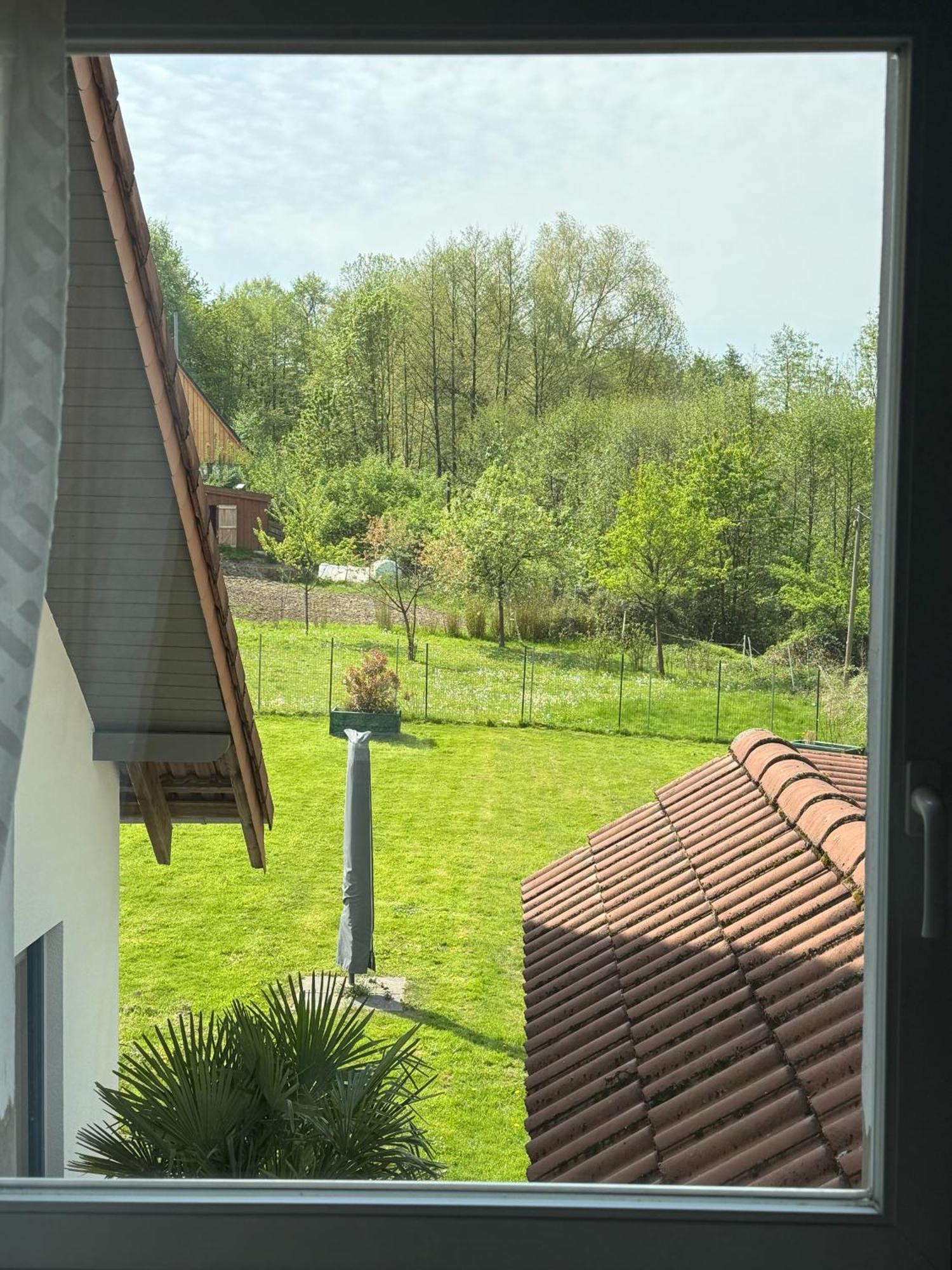 Urlaub Im Naturschutzgebiet Detmold Extérieur photo